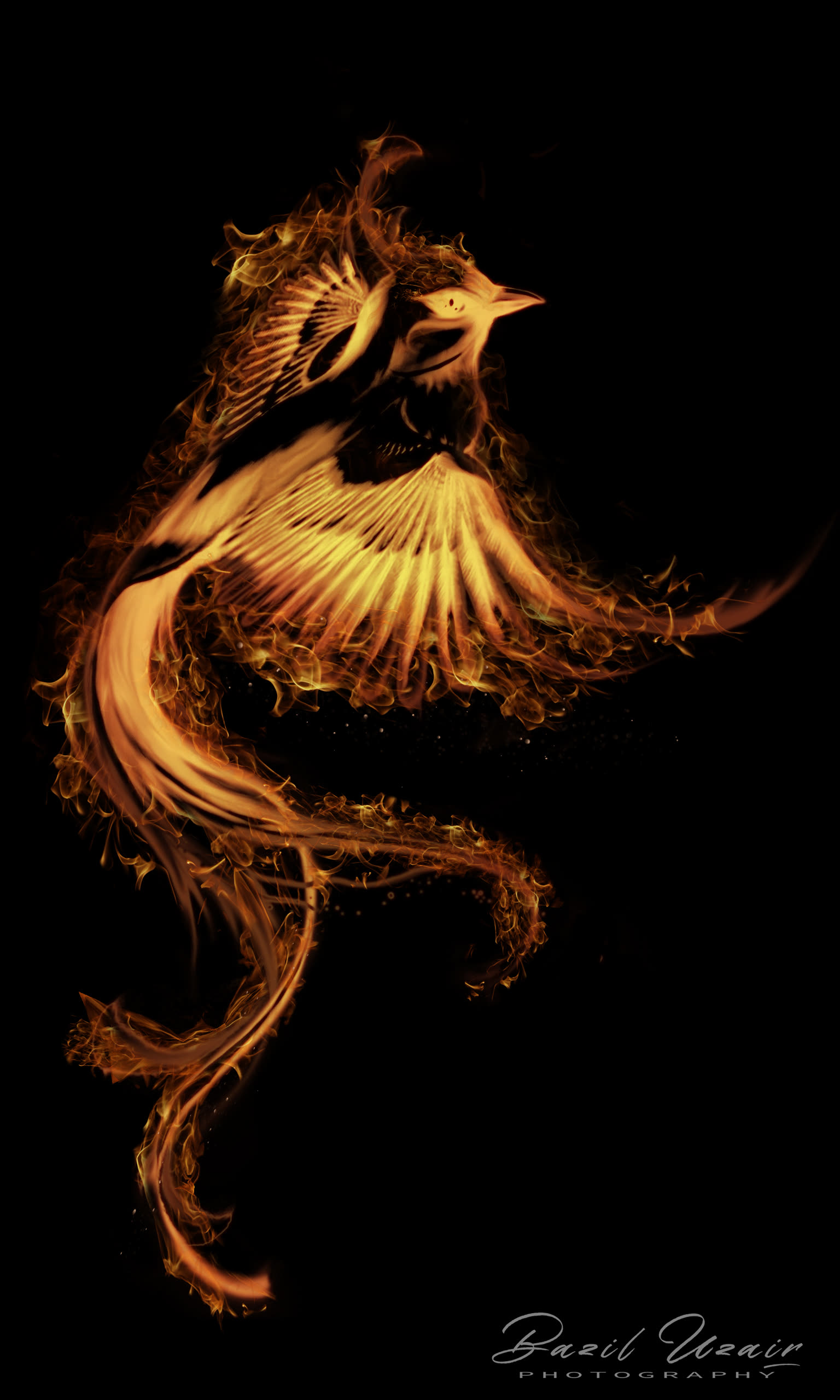 Phoenix Bird