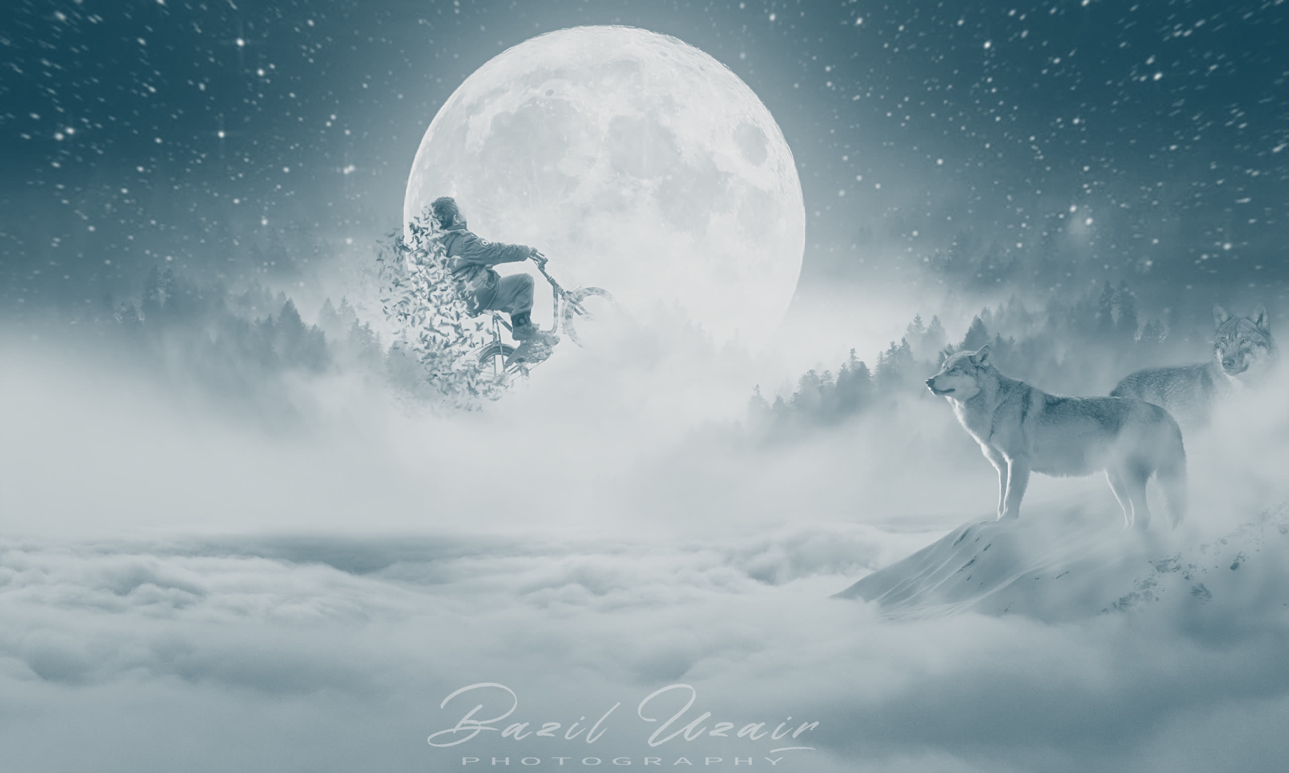 Reaching for the Moon